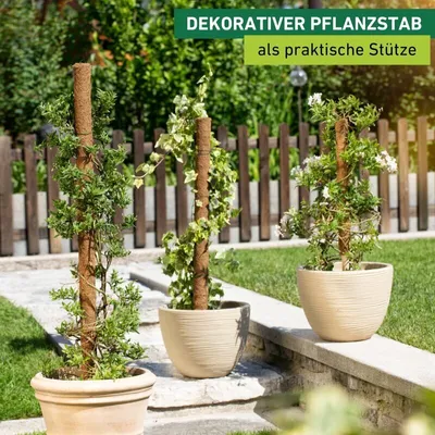 Produktbild von Rankhilfen-Pflanzstab aus Kokos 110cm