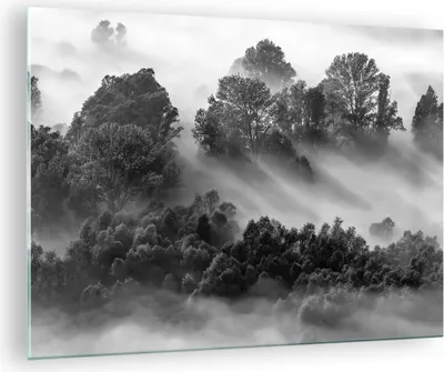 Produktbild von Bilder auf glas - Einteilig - Schwarzweiß Bäume Nebel - 70x50cm - Glasbilder - Wandbilder - Bilder - zum Aufhängen bereit - Wanddekoration aus Glas - Glas Bilder - Wandbild auf Glas - GAA70x50-4510