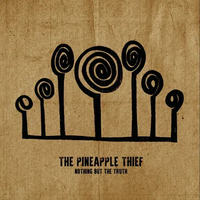 Nothing But the Truth – Doppel-Vinyl, 2 LPs, Limited Edition