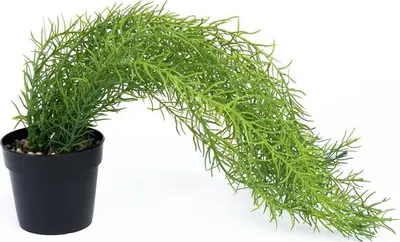 Immagine prodotto di Pianta Artificiale Oscillante 46Cm Jz-Hl306A