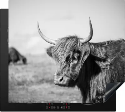 Obrázek produktu pro KitchenYeah® Krycí deska na sporák Scottish Highlander - Animals - Black - White , 60x52cm, dekorace do kuchyně, keramická krycí deska na sporák, krycí deska na varnou desku