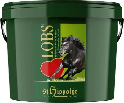 Zdjęcie produktu dla St.Hippolyt Lobs 10kg - Kostki nagród