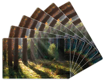 Produktbild von Wallario Frühstücksbrettchen 6er Set aus Glas, je 14 x 23 cm, mit rutschfesten Füßen, Motiv Sonnenstrahlen im Herbstwald