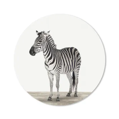 Produktbild von MuchoWow® Mauspad Mousepad Tiere - Zebra - Schwarz - Weiß 50x50 cm - Mousepads - Maus Mat - Pad - Mausunterlage - Vinyl