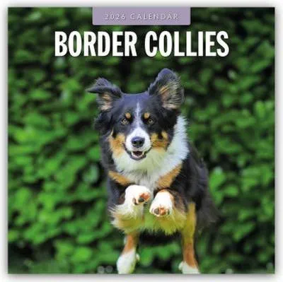 Produktbild von Border Collies - Border Collie 2026 - 16-Monatskalender