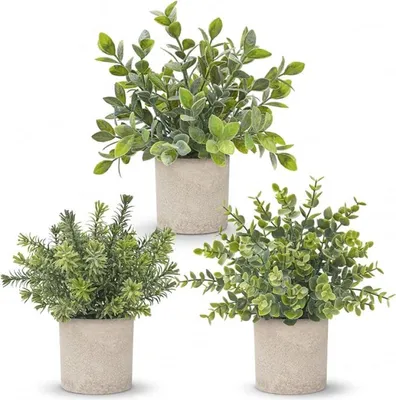 Produktbild von PromoHome® Set von 3 Künstlichen Eukalyptuspflanzen im Topf, Künstliche Mini-Pflanzen für Zuhause Büro Schreibtisch Deko