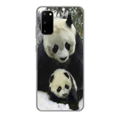 Produktbild von MuchoWow® Handyhülle Schutzhülle Hülle für Samsung Galaxy S20 Panda - Jungtier - Schnee Silikon Softcase Handy Hülle - Bild