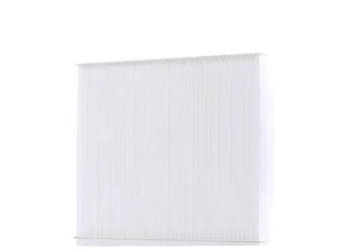 Produktbild von DENSO DCF569P Innenraumfilter Pollenfilter für HYUNDAI ix20 (JC)