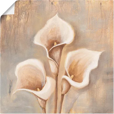 Produktbild von ARTland Poster Antike Blüten Größe: 30x30 cm