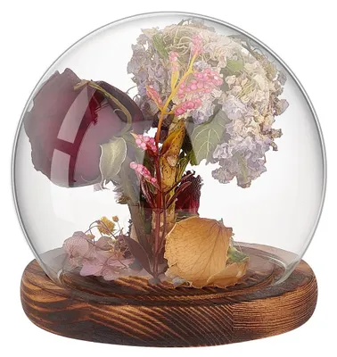 Glaskuppel mit Holzsockel, transparent, 12 x 11,5 cm, Dekovitrine