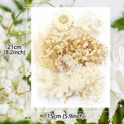 Produktbild von Kreativset mit natürlichen getrockneten Blumen für vielfältige Bastelprojekte