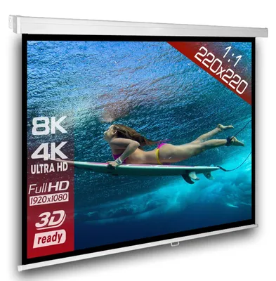 Produktbild von 1:1 SlenderLine Rolloleinwand 220 x 220 cm | Beamer Leinwand für Wand & Decke