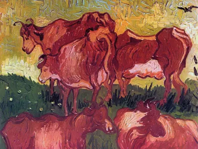 Obrázek produktu pro Vincent Van Gogh Art Print Obraz - Krávy, 1890 (60 x 80 cm)