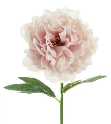 Image de Fleur artificielle - Pivoine, 35 cm, rose pâle