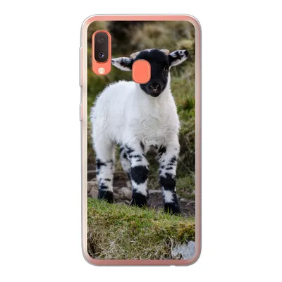 Produktbild von MuchoWow® Handyhülle Schutzhülle Hülle für Samsung Galaxy A20e Lamm - Schwarz - Weiß - Tupfen Silikon Softcase Handy Hülle - Abdeckung