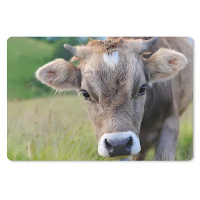 Produktbild von MuchoWow® Schreibtischunterlage Kuh - Horn - Landschaft 60x40 cm - XXL Mauspad - Großes Mauspad