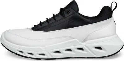 Produktbild von Schuhe Ecco Biom 720 GTX 85030451222