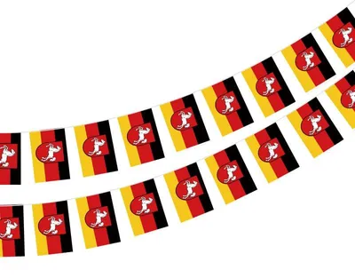 Productafbeelding van Nederlands vlaggenlijn, 40 stuks, 11,4 m, vlaggen 14 x 21 cm