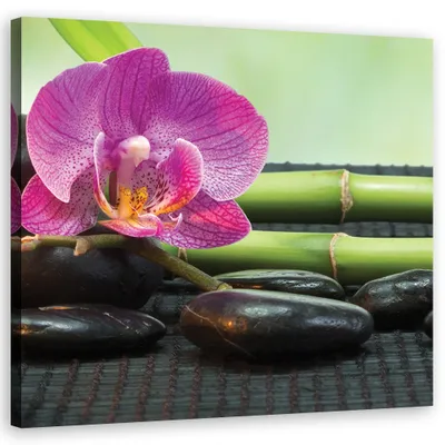 Produktbild von Leinwandbild Orchidee auf schwarzen Steinen 60x60 Feeby Violett bild für die wand bereit zum aufhängen
