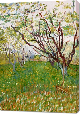 Zdjęcie produktu dla Obraz 70x100cm The Flowering Orchard, Van Gogh Vintage