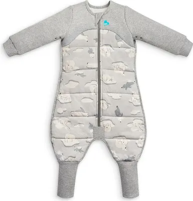 Produktbild von Love to Dream™ Schlafanzug langarm Grau Südpol, 3.5T (12-24 Monate)