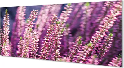 Produktbild von Glasbilder 125x50 Wandkunst Blumen