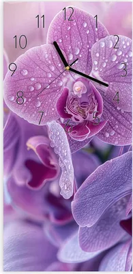 Produktbild von Wanduhr aus Glas mit Motiv Orchideenblüten- 30 x 60 cm - inkl. Aufhängesystem
