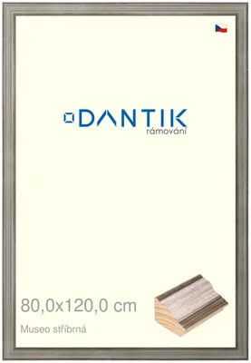 Obrázok produktu pre Rám DANTIK 80x120 | Museo strieborný (Plexi Clear)