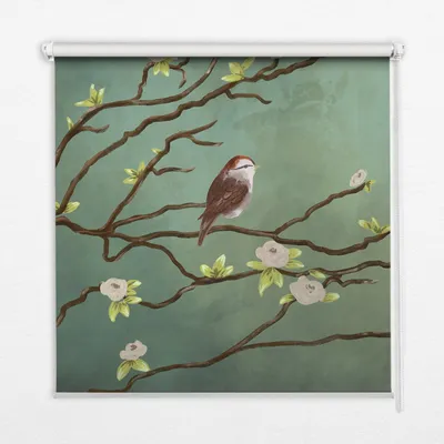 Produktbild von Seitenzug-Rollo Fensterrollo Jalousie - Thermo-Rollo Verdunkelungsrollo - 80x180 cm - Vögel auf einem Zweig