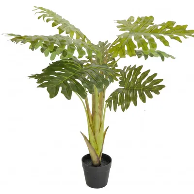 Obrázek produktu pro Umělá rostlina, filodendron dvakrát peřený, 110 cm