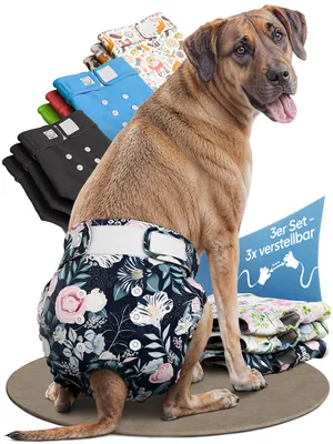 Produktbild von HUND IST KÖNIG Windeln für Hündinnen [3 Stk], XL (Taille 66-83 cm), saugstarke Windeln, 3-Fach justierbar für festen Sitz bei Läufigkeit & Inkontinenz