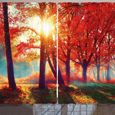 Produktbild von ARANDE Baum Gardine, Herbstliche nebelige Park-Fall-Natur-szenische Landschaft Ahorn-Bäume Sunbeams Woods, 280 x 245 cm, Orange Gelb Teal