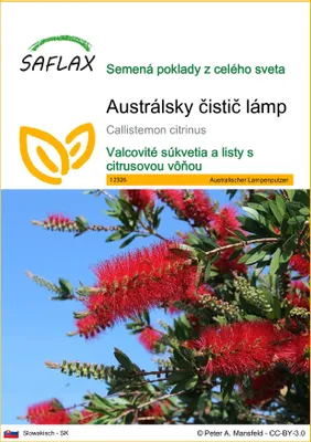 Obrázok produktu pre SAFLAX - Austrálsky čistič lámp - Callistemon citrinus - 400 Semená