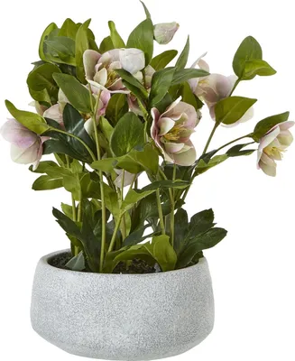 Produktbild von Hill Interiors - Künstliche Topfpflanze HI5076 (Einheitsgröße) (Pink)