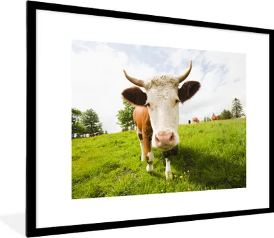 Produktbild von MuchoWow® Gerahmtes Poster Kuh - Licht - Schatten 80x60 cm - Poster mit Schwarzem Bilderrahmen Wandposter Rahmen Foto Bilder - Schlafzimmer-Dekorationen - Fotoposter
