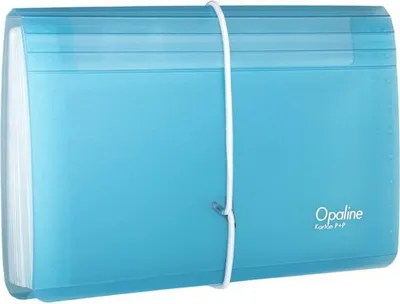 Obrázek produktu pro Karton P+P Organizér na dokumenty s gumou DL Opaline čirá-modrá 13kapes 2-490