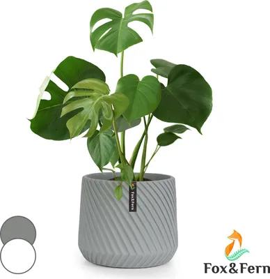 Image de Fox & Fern Pot de Fleur Interieur et Extérieur, Jardinieres Exterieur, Pot Plante Résistant UV et Gel avec Bouchon de Drainage, Polystone, Jardiniere, Pot de Fleur Exterieur Grande Taille, Pot Unique