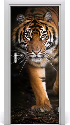 Produktbild von Tulup Türaufkleber 85x205 cm Dekorative Aufkleber Selbstklebend Wasserdichte Tapete Abnehmbar Schlafzimmer Wohnzimmer Wohnkultur - Tiger
