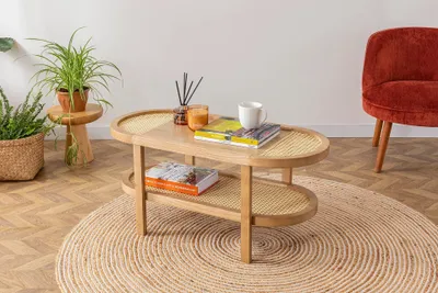 A living room scene featuring a coffee table with books and decor, a chair, and plants.