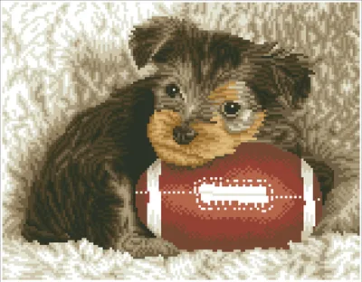 Produktbild von Footy Pup Diamond Dotz: 31x41 cm