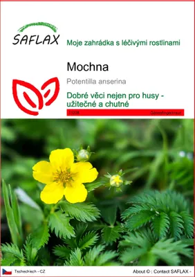 Obrázek produktu pro SAFLAX - mochna - Potentilla anserina - 20 Semena