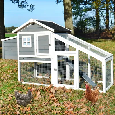Produktbild von zooprinz Hühnerstall Dottie L | Nistkasten | Rampe | Freilauf | XXL | Wetterfest | 175x101x66cm (BxHxT)