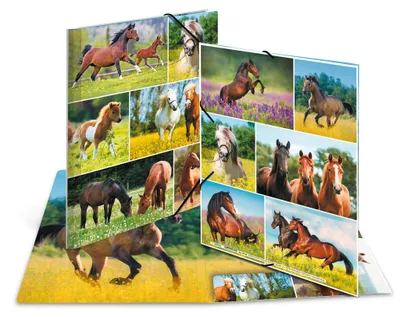 Image de HERMA 19342 Chemise à rabats HERMA "Pré aux chevaux", carton, DIN A4