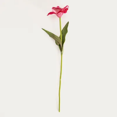 Zdjęcie produktu dla HOMLA Gałązka sztuczna HUBIS hibiskus różowy 45 cm