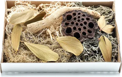 Immagine prodotto di BioSet Deserto Set per la cura dei dettagli del deserto