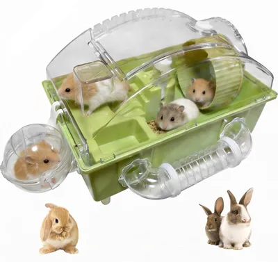 Productafbeelding van Hamsterkooi met Doorzichtige Deksel en Speelaccessoires