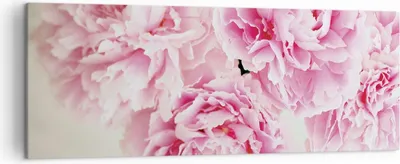 Produktbild von Bild auf Leinwand - Leinwandbild - Einteilig - Pfingstrosen Blumenstrauß Blumen - 140x50cm - Wand Bild - Wanddeko - Wandbilder - Leinwanddruck - Bilder - Wanddekoration - Leinwand bilder AB140x50-4961