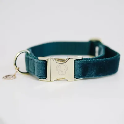 Obrázok produktu pre Kentucky Dogwear obojok pre psov Velvet Collar Emerald L
