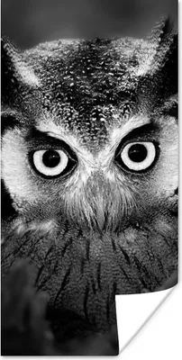 Produktbild von MuchoWow® Poster Vogel - Eule - Porträt - Schwarz - Weiß 60x120 cm - Wandschmuck