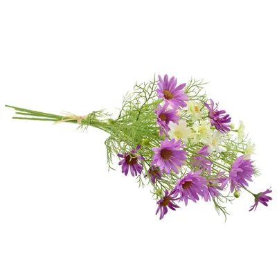 Obrázok produktu pre Lúčne sedmokrásky lila 70 cm